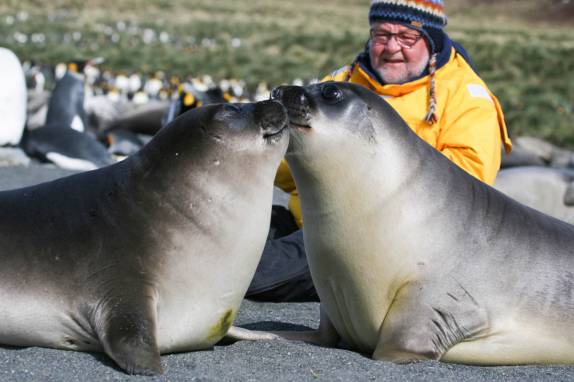 Observando os filhotes de elefante-marinho na praia de Gold Harbour, na Geórgia do Sul